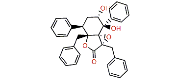 Maculalactone G